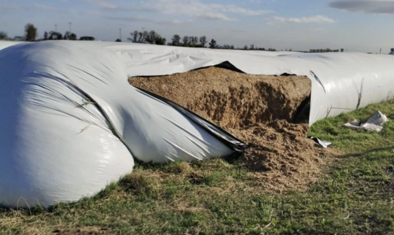 Menores dañaron silobolsas en la Laboulaye